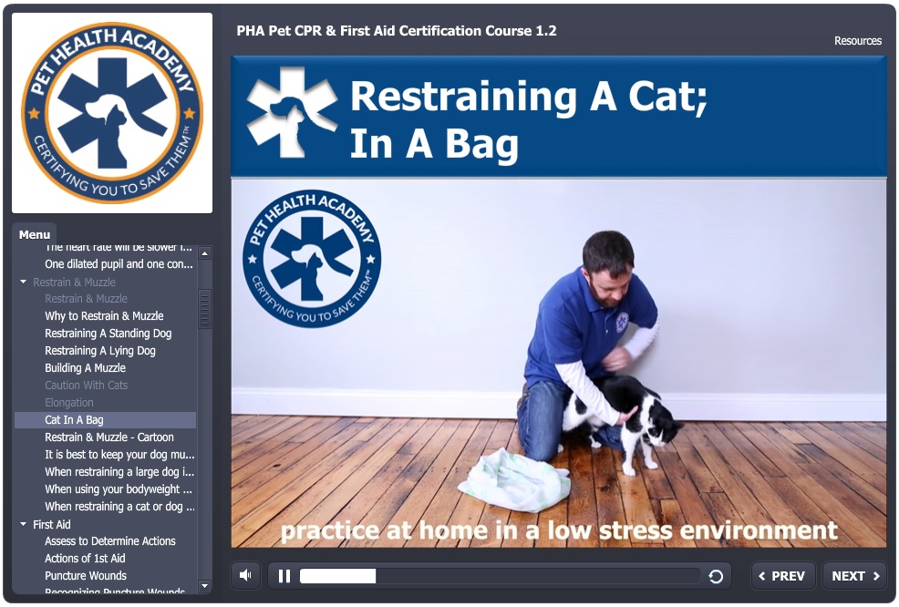 online pet first aid class 